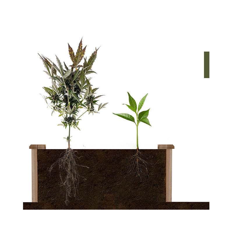 3,9 фута x 3,9 фута Приподнятая садовая грядка с сегментированной решеткой для выращивания, древесный материал для растений и трав на заднем дворе