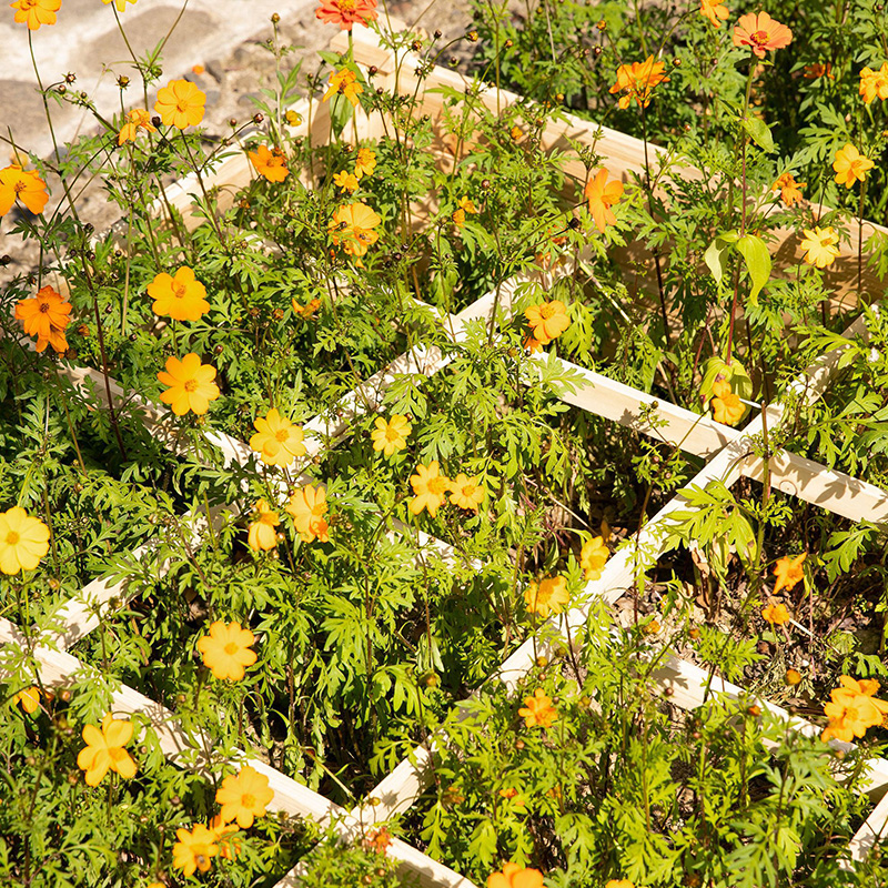 3,9 фута x 3,9 фута Приподнятая садовая грядка с сегментированной решеткой для выращивания, древесный материал для растений и трав на заднем дворе